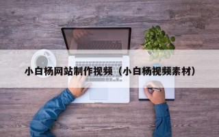 齐河小白杨网站制作视频（小白杨视频素材）