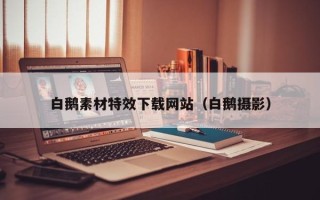 齐河白鹅素材特效下载网站（白鹅摄影）